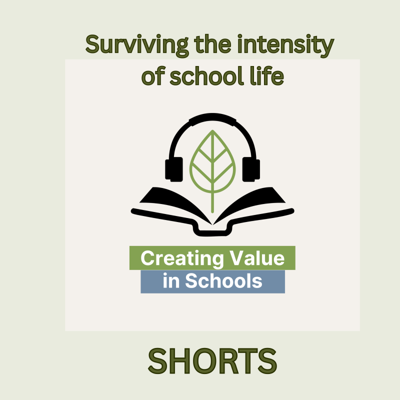 Artwork for episode 20 of the Creating Value in Schools podcast