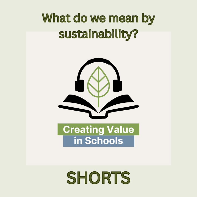 Artwork for episode 22 of the Creating Value in Schools podcast